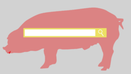 Sminka inte grisen - svin med läppstift och sökruta
